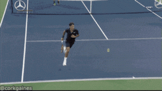 290608_747714.jpg.gif