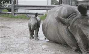 1410572229_gifs_24-1.gif