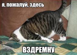 g4HzHQ09r_c.jpg