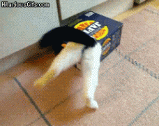 1411875539_1411726994-75a24435071a5b401345ba9d2a259d2c.gif