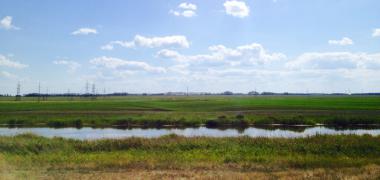 2014-08-01 at 15-04-50.jpg