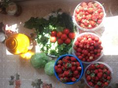 DSCF8699.JPG