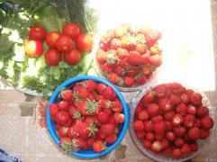 DSCF8695.JPG