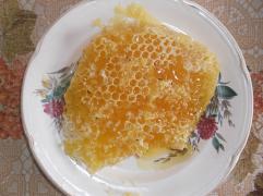 DSCF9261.JPG