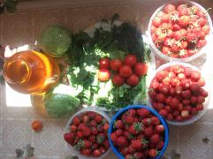 DSCF8703.JPG