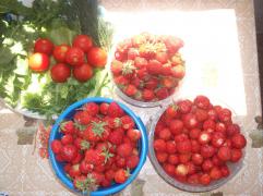 DSCF8693.JPG