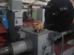 2012-05-10 19.14.12.jpg