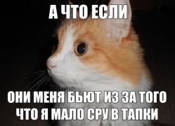 Fliz9a5NqGQ.jpg
