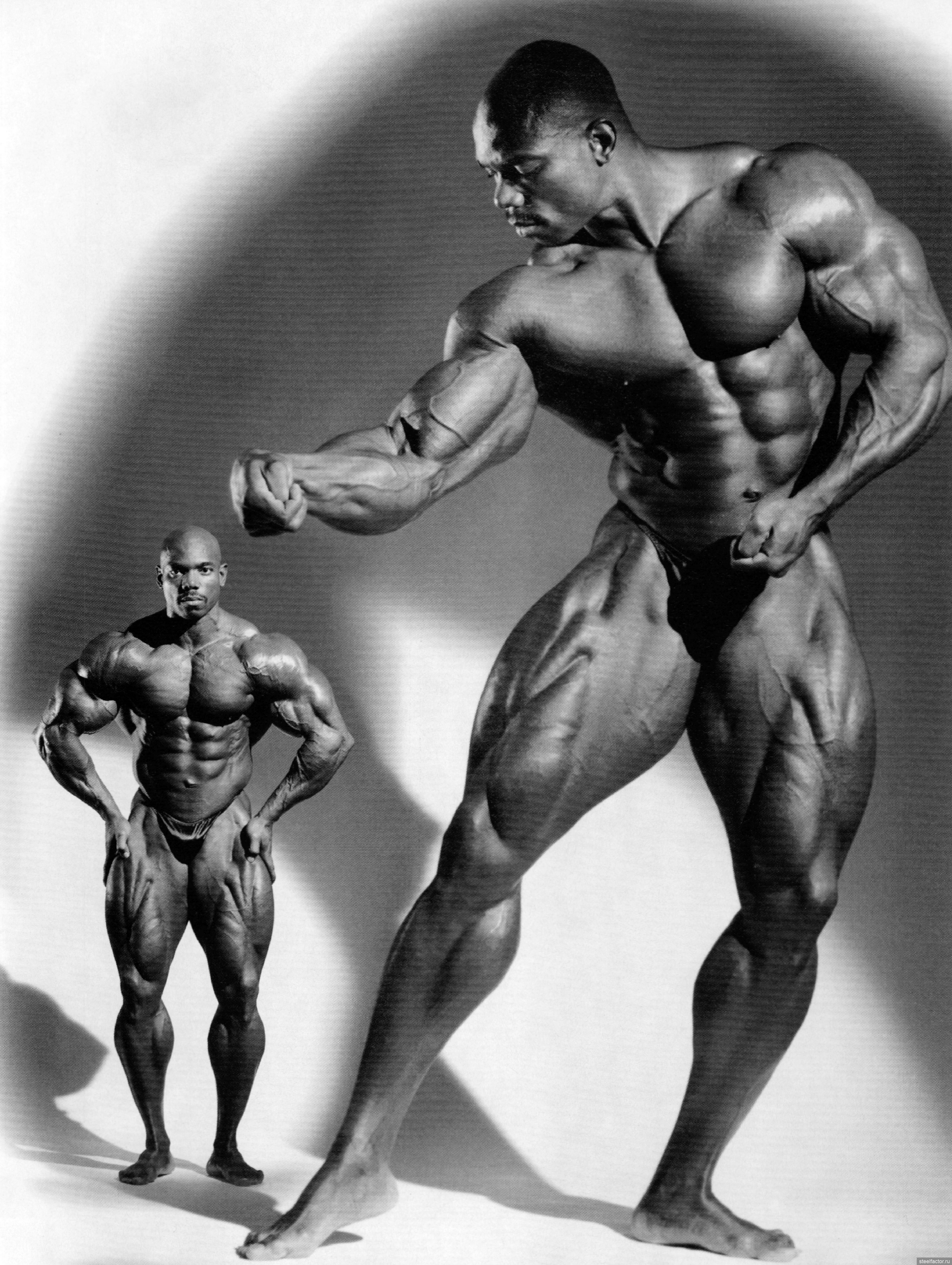 Flex Wheeler 1993