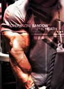 OPER-SANDOW-2.jpg