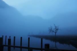 IMG_6922.JPG