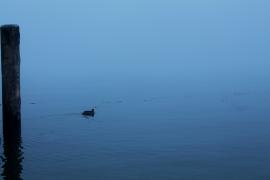 IMG_6940.JPG
