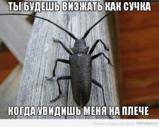 2824569.jpg