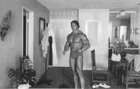 schwarzenegger_43.jpg