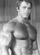 1253467581_schwarzenegger-1970.jpg