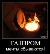 1411474712_057.jpg