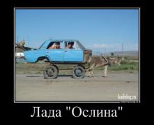 1409640136_042.jpg
