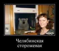 1409640110_008.jpg