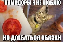 hgphLDFQAvo.jpg