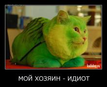 1411445908_008.jpg