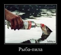 1409636205_028.jpg