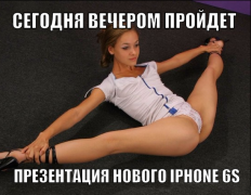 1441811022_41192441 (1).png