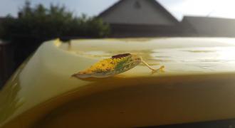 20150920_174420.jpg
