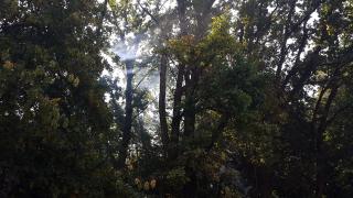 20150827_105916.jpg