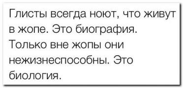 сеньеру.jpg