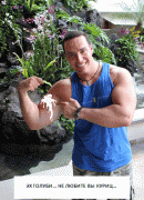 КураОблупа.gif