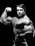 mem-BB-single-bicep_large.jpg