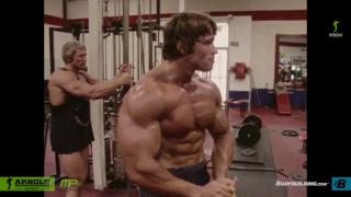Arnold-maxresdefault.jpg