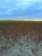 20160825_182340.jpg