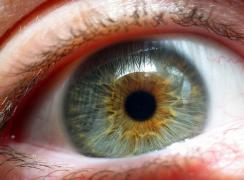 blue-brown-eye.jpg
