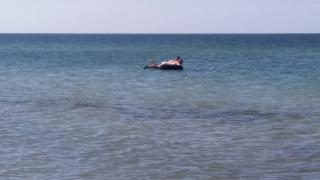 20160826_101213.jpg