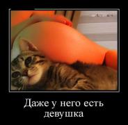 девушка.jpg