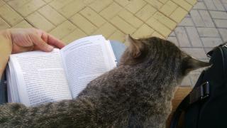 WP_20160912_030.jpg