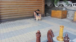 IMG_20160807_193555.jpg