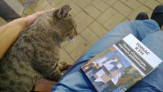 WP_20160912_019.jpg