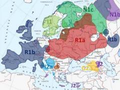 Гаплогруппы.jpg