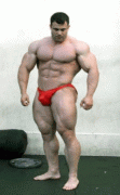 image (1).gif