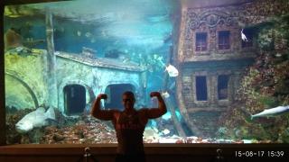 IMG_20170815_153944_HHT.jpg