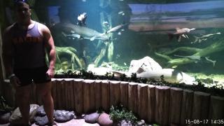 IMG_20170815_143508_HHT.jpg
