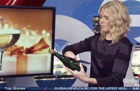 champagne_bottles_05.gif