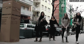 gifs_03 (1).gif