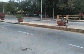 gifs_03 (2).gif