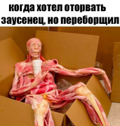 18765779_253646061706709_8397978476339141843_n.png