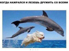 18664666_251998505204798_4843682585512623364_n.png