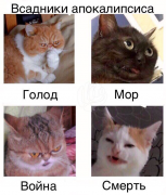 18619947_252810705123578_8267508292428363246_n.png