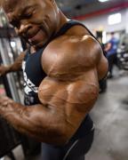 Kai greene bicep 2017.jpg